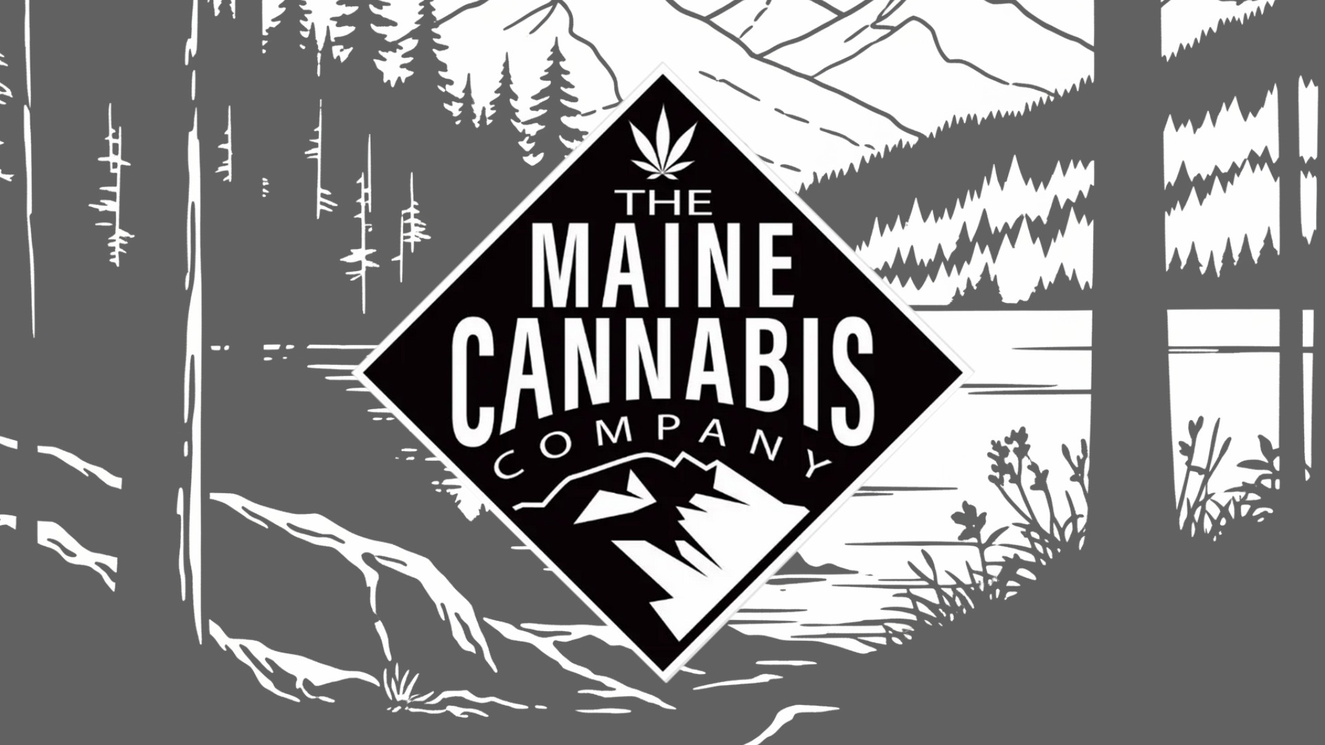 The Maine Cannabis Company. Image of logo over scenic Maine silhouette.