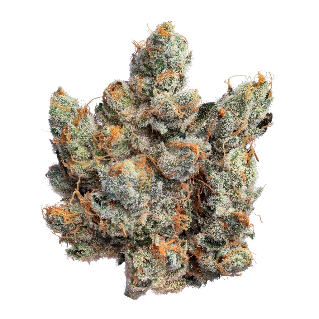 Blackwood Cultivation - GG#4