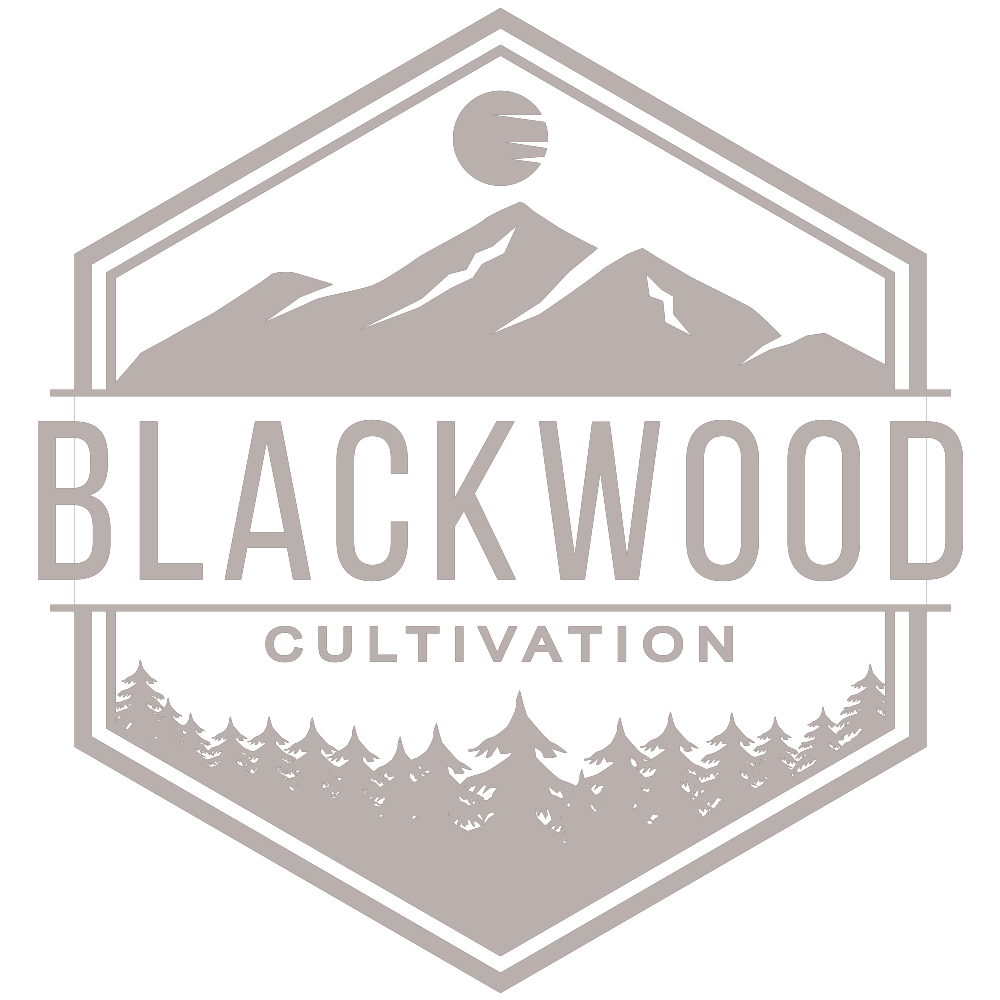 Blackwood Cultivation - Super Sour Saunders