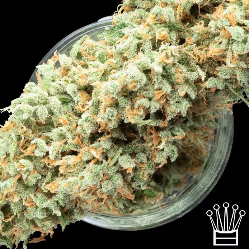 Fraktal - Lemon Thai