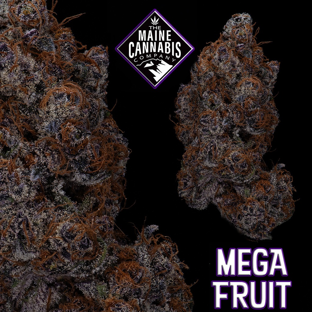 The Maine Cannabis Co - Crunch Berries