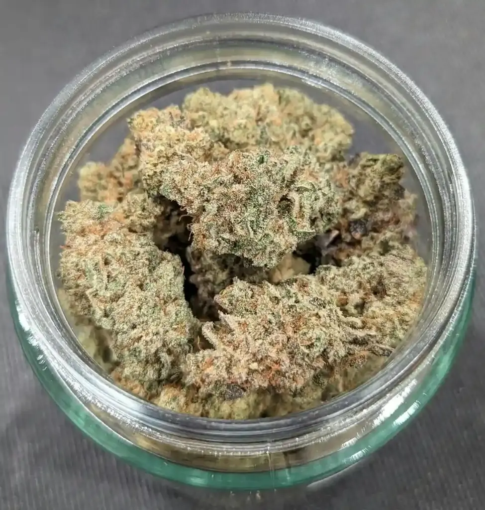 Clean Slate Cannabis - Blueberry Shortcake