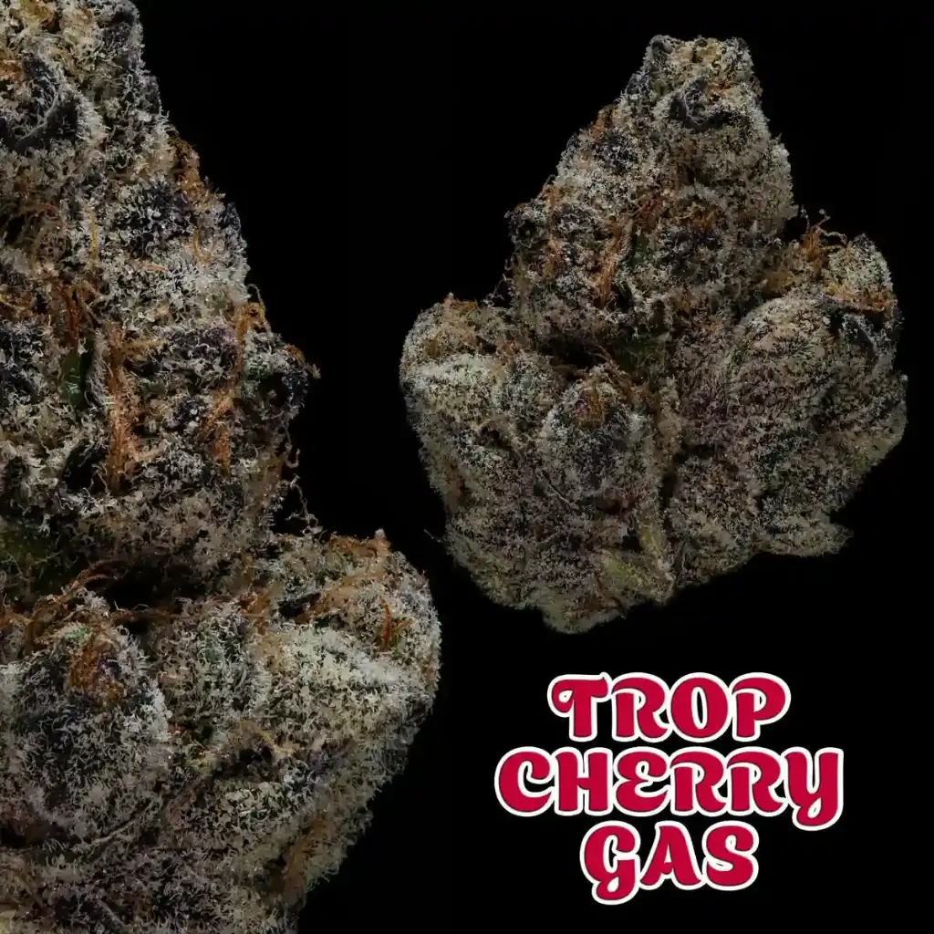 Clean Slate Cannabis - Trop Cherry Gas