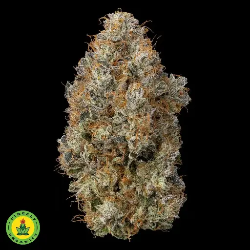 Diesel Delight
