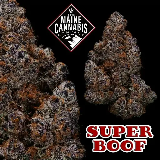 The Maine Cannabis Co - Super Boof
