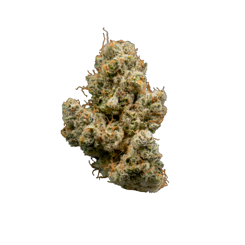 Living Matter - Dual OG