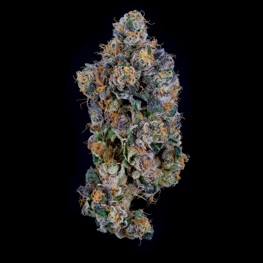 Maine Trees - Lemon Zlushies