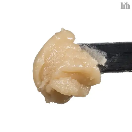 Living Matter - Papaya Rosin