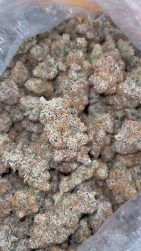 The Maine Cannabis Co - Mega Fruit