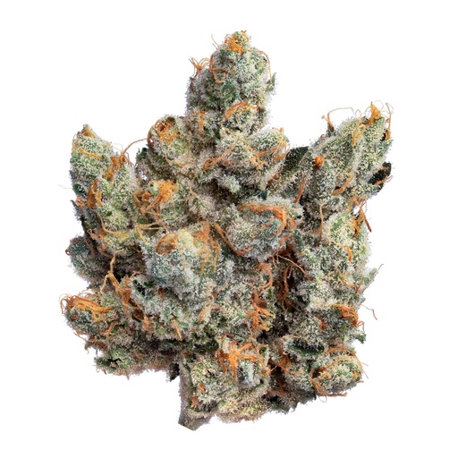 Blackwood Cultivation - GG#4