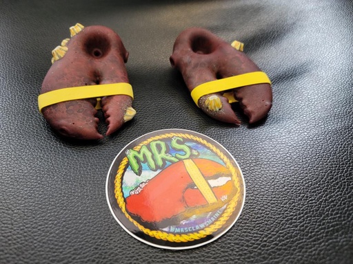 Mrs. Claws - Red Sandblasted Barnacles Lobster Claw Bowl