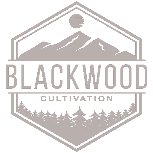 Blackwood Cultivation - Super Sour Saunders