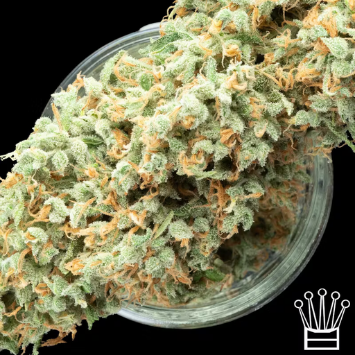 Fraktal - Lemon Thai